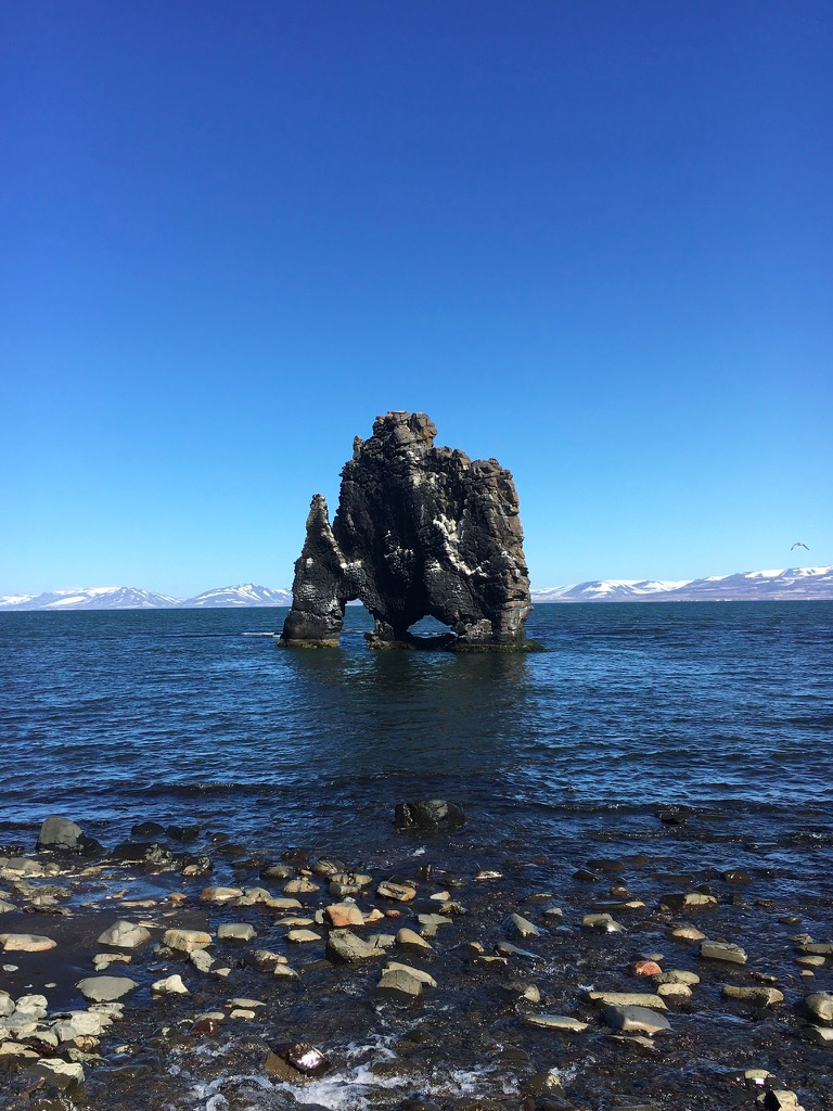 Hvitserkur seastack is located on the Vatnsnes Peninsula in North Iceland